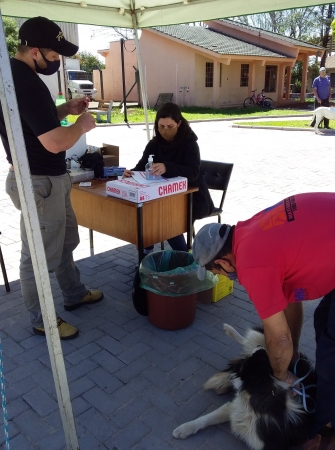 Secretaria Mun. da Agricultura de Pinhal Grande Realiza Vacinação Contra a Raiva em Cães e Gatos Secretaria Mun. da Agricultura de Pinhal Grande Realiza Vacinação Contra a Raiva em Cães e Gatos