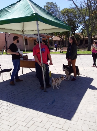 Secretaria Mun. da Agricultura de Pinhal Grande Realiza Vacinação Contra a Raiva em Cães e Gatos Secretaria Mun. da Agricultura de Pinhal Grande Realiza Vacinação Contra a Raiva em Cães e Gatos