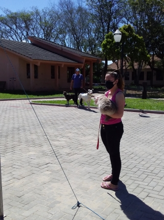 Secretaria Mun. da Agricultura de Pinhal Grande Realiza Vacinação Contra a Raiva em Cães e Gatos Secretaria Mun. da Agricultura de Pinhal Grande Realiza Vacinação Contra a Raiva em Cães e Gatos