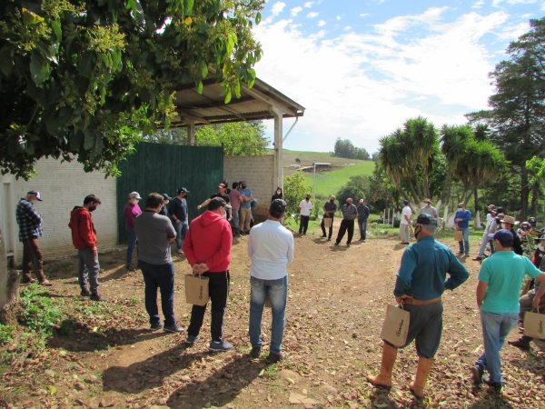 Secretaria de Agricultura Realiza Dia de Campo com Demonstrações de Atividades e Ações de Revitalização do Horto Municipal Secretaria de Agricultura Realiza Dia de Campo com Demonstrações de Atividades e Ações de Revitalização do Horto Municipal
