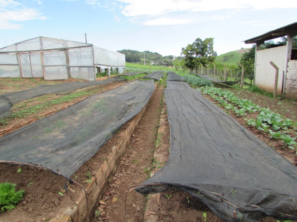 Secretaria de Agricultura Realiza Dia de Campo com Demonstrações de Atividades e Ações de Revitalização do Horto Municipal Secretaria de Agricultura Realiza Dia de Campo com Demonstrações de Atividades e Ações de Revitalização do Horto Municipal