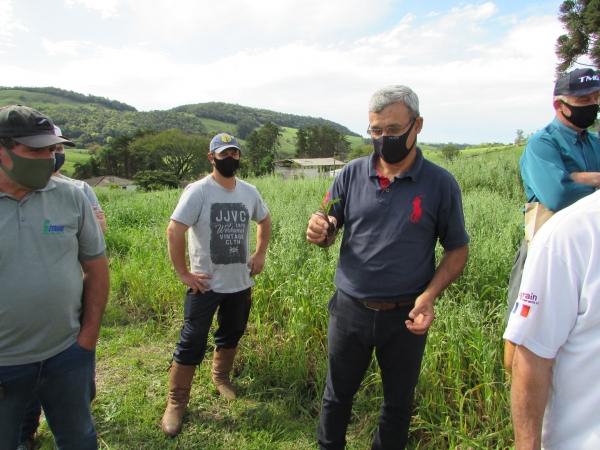 Secretaria de Agricultura Realiza Dia de Campo com Demonstrações de Atividades e Ações de Revitalização do Horto Municipal Secretaria de Agricultura Realiza Dia de Campo com Demonstrações de Atividades e Ações de Revitalização do Horto Municipal