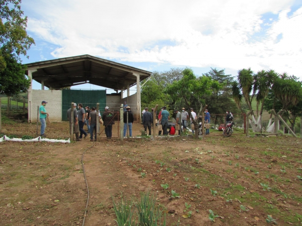 Secretaria de Agricultura Realiza Dia de Campo com Demonstrações de Atividades e Ações de Revitalização do Horto Municipal Secretaria de Agricultura Realiza Dia de Campo com Demonstrações de Atividades e Ações de Revitalização do Horto Municipal