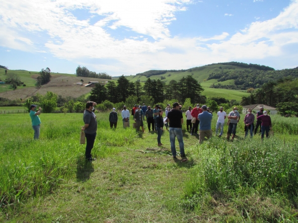 Secretaria de Agricultura Realiza Dia de Campo com Demonstrações de Atividades e Ações de Revitalização do Horto Municipal Secretaria de Agricultura Realiza Dia de Campo com Demonstrações de Atividades e Ações de Revitalização do Horto Municipal