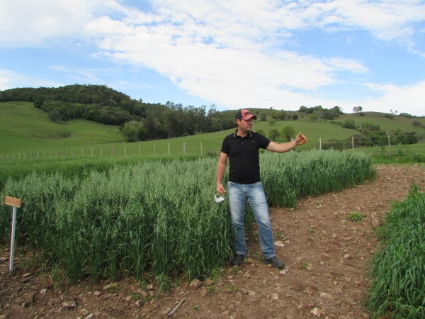 Secretaria de Agricultura Realiza Dia de Campo com Demonstrações de Atividades e Ações de Revitalização do Horto Municipal Secretaria de Agricultura Realiza Dia de Campo com Demonstrações de Atividades e Ações de Revitalização do Horto Municipal