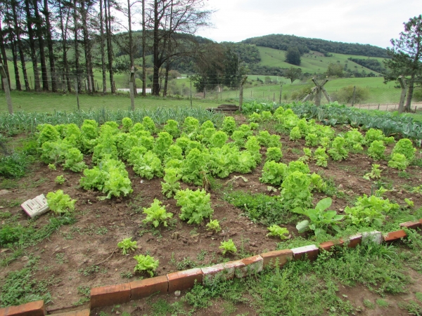 Secretaria de Agricultura Realiza Dia de Campo com Demonstrações de Atividades e Ações de Revitalização do Horto Municipal Secretaria de Agricultura Realiza Dia de Campo com Demonstrações de Atividades e Ações de Revitalização do Horto Municipal