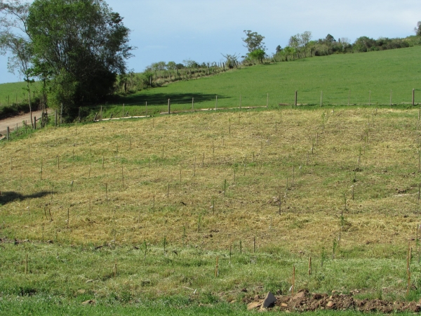 Secretaria de Agricultura Realiza Dia de Campo com Demonstrações de Atividades e Ações de Revitalização do Horto Municipal Secretaria de Agricultura Realiza Dia de Campo com Demonstrações de Atividades e Ações de Revitalização do Horto Municipal