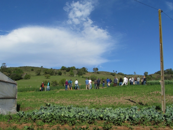 Secretaria de Agricultura Realiza Dia de Campo com Demonstrações de Atividades e Ações de Revitalização do Horto Municipal Secretaria de Agricultura Realiza Dia de Campo com Demonstrações de Atividades e Ações de Revitalização do Horto Municipal
