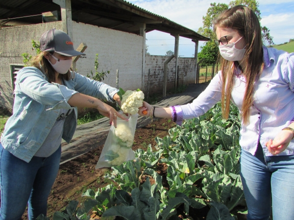 Secretaria de Agricultura Realiza Dia de Campo com Demonstrações de Atividades e Ações de Revitalização do Horto Municipal Secretaria de Agricultura Realiza Dia de Campo com Demonstrações de Atividades e Ações de Revitalização do Horto Municipal