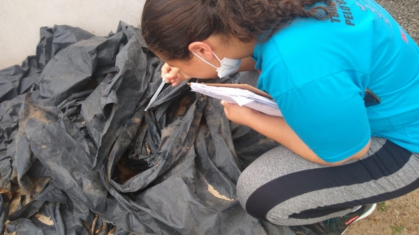 Secretária de Saúde Alerta a População Para Cuidados Com os Focos Do Mosquito Aedes Aegypti Transmissor da Dengue e De Outras Doenças Secretária de Saúde Alerta a População Para Cuidados Com os Focos Do Mosquito Aedes Aegypti Transmissor da Dengue e De Outras Doenças