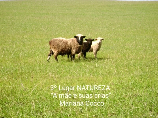 Departamento de Cultura, Turismo Desporto e Lazer de Pinhal Grande Publica O Resultado Oficial Do Concurso Fotográfico 2ª Edição 2022o Departamento de Cultura, Turismo Desporto e Lazer de Pinhal Grande Publica O Resultado Oficial Do Concurso Fotográfico 2ª Edição 2022o