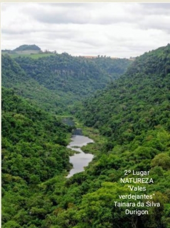 Departamento de Cultura, Turismo Desporto e Lazer de Pinhal Grande Publica O Resultado Oficial Do Concurso Fotográfico 2ª Edição 2022o Departamento de Cultura, Turismo Desporto e Lazer de Pinhal Grande Publica O Resultado Oficial Do Concurso Fotográfico 2ª Edição 2022o