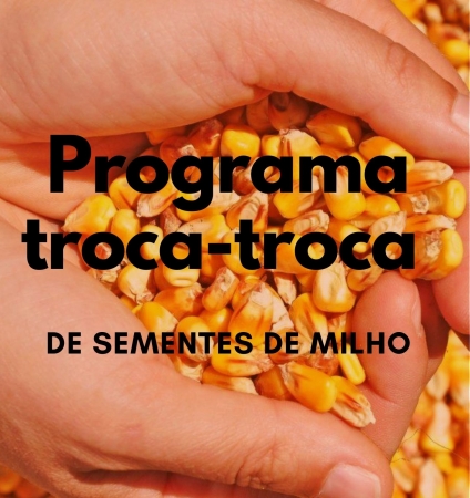 SEMENTE DE MILHO: SECRETARIA DE AGRICULTURA DE PINHAL GRANDE ABRE INSCRIÇÕES PARA AQUISIÇÃO DE SEMENTES DE MILHO PELO SISTEMA TROCA-TROCA SEMENTE DE MILHO: SECRETARIA DE AGRICULTURA DE PINHAL GRANDE ABRE INSCRIÇÕES PARA AQUISIÇÃO DE SEMENTES DE MILHO PELO SISTEMA TROCA-TROCA