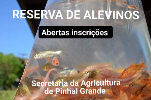 ALEVINOS: ESTÃO ABERTAS INSCRIÇÕES PARA AQUISIÇÃO DE ALEVINOS ATRAVÉS DA SECRETARIA DA AGRICULTURA ALEVINOS: ESTÃO ABERTAS INSCRIÇÕES PARA AQUISIÇÃO DE ALEVINOS ATRAVÉS DA SECRETARIA DA AGRICULTURA
