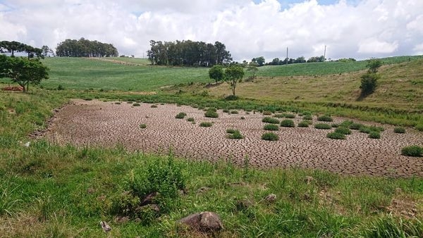 PINHAL GRANDE DECRETA SITUAÇÃO DE EMERGÊNCIA EM DECORRÊNCIA DA ESTIAGEM PINHAL GRANDE DECRETA SITUAÇÃO DE EMERGÊNCIA EM DECORRÊNCIA DA ESTIAGEM