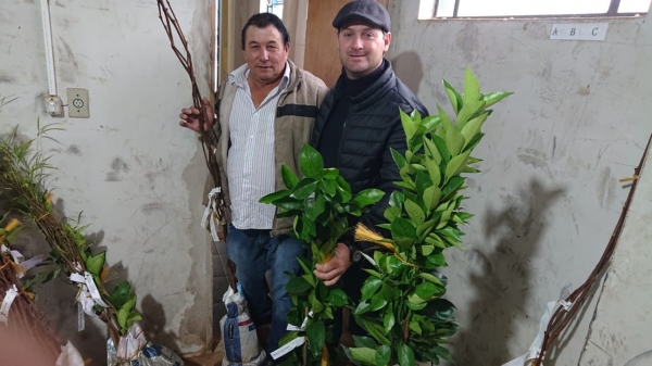 ENTREGA DE MUDAS FRUTÍFERAS PELA SECRETARIA MUNICIPAL DA AGRICULTURA BENEFICIA 100 PRODUTORES NO 1º LOTE ENTREGA DE MUDAS FRUTÍFERAS PELA SECRETARIA MUNICIPAL DA AGRICULTURA BENEFICIA 100 PRODUTORES NO 1º LOTE