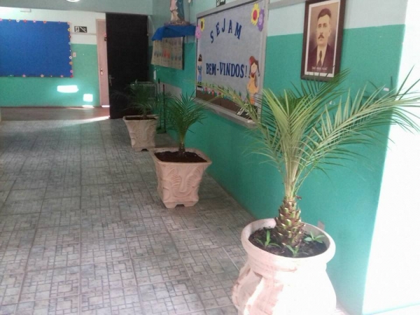 Cultivando Flores e Folhagens Cultivando Flores e Folhagens