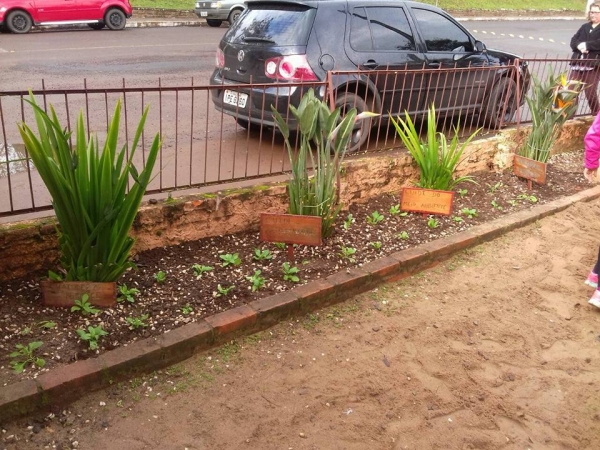 cultivando flores e folhagens cultivando flores e folhagens