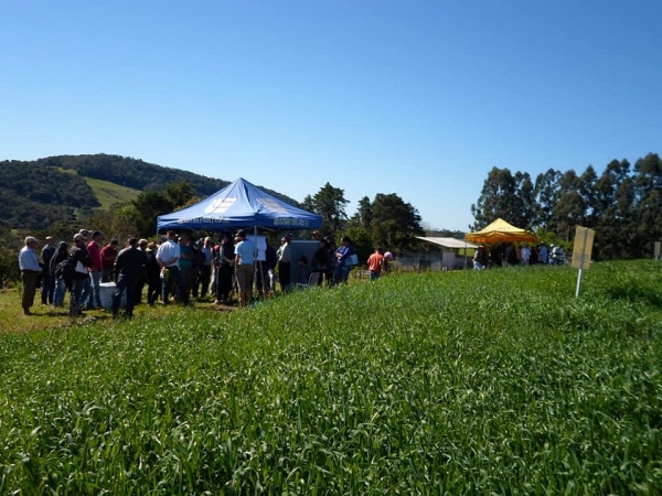 DIA DE CAMPO É REALIZADO NO HORTO MUNICIPAL.